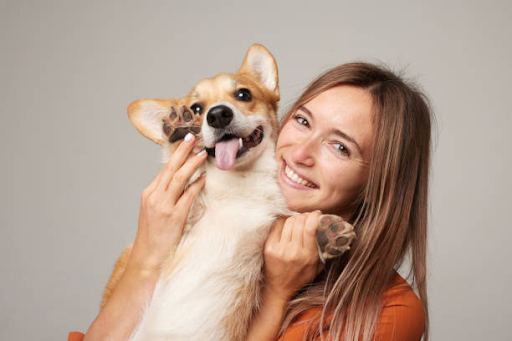 Daily pet care with love